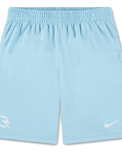 Nike Badge Short Sky Blue