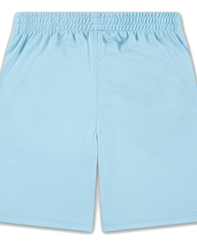 Nike Badge Short Sky Blue2