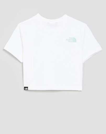 crop tee 2