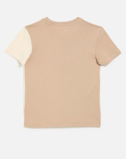 Polo Tyler Colour Blocked Tee Taupe2