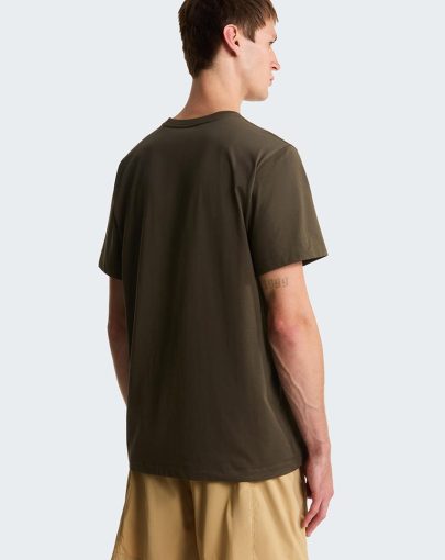 The North Face Evolution Simple Dome Tee Olive2