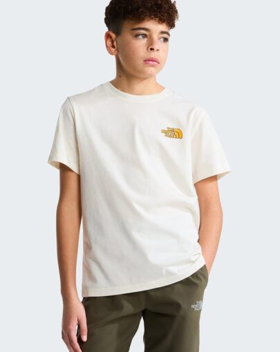 the north face outdoor regular tee white dune graphic